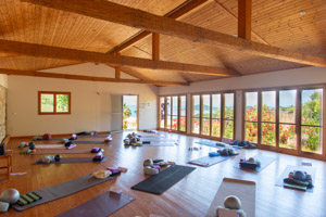 Yoga Shala
